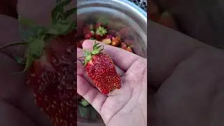 14 июня 2024 г.