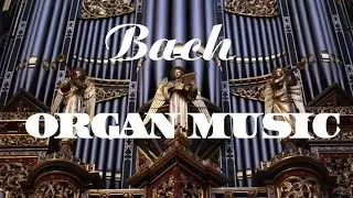 Bach - The Best Organ Music