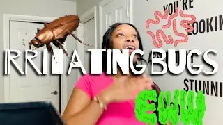 Irritating BUGS 🐛