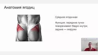 Секреты роста ягодиц - фрагмент. Как накачать ягодицы?