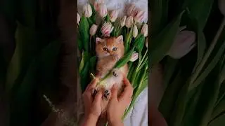 #доброеутро