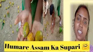 Humare Assam Ka Supari 🤗 || Assam Ka Supari || #vlog #assam