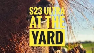 Yard Antics Unleashed -- How i hyped My s23 Ultra ?!