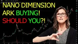 ARK IS BUYING NANO DIMENSION SHARES! | NNDM STOCK ANALYSIS