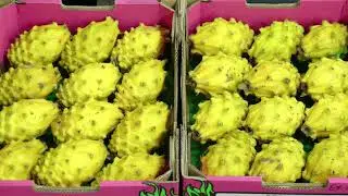 What's in Season - Dragonfruit Yellow