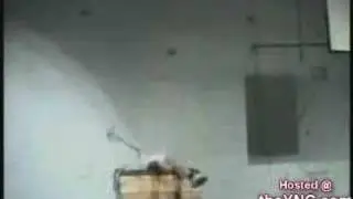 Stupid Gymnastics
