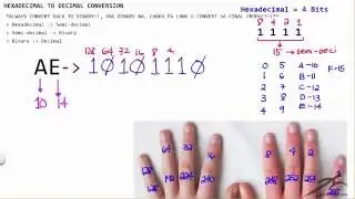 How to Convert From Hexadecimal to Decimal - Finger Subnetting Method #5