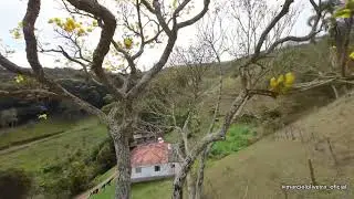Praticando voo indor com o Dji avata