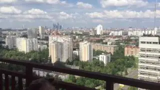 23 июля 2016 г.