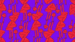 Papyllon - LUSH