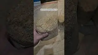 Бешеный клёв рыбы это легко с нашей прикормкой для рыбалки! #рыбалка #прикормка #shorts