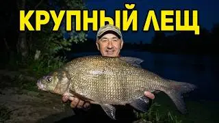 Ловля леща на фидер в августе⎮КРУПНЫЙ клюнул НОЧЬЮ!