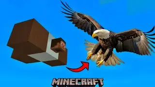 How to Spawn  Eagle in Minecraft