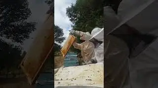 Yayla balı köyde doğal bal #keşfet #honey