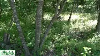 Участок в Абрау-Дюрсо СНТ Факел