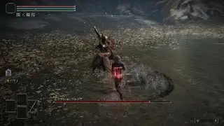 ELDEN RING - Parry Practice (NG+19 Malenia Dagger Parry No Damage)