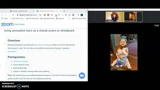 Zoom Annotate as Participant and Prerequisites