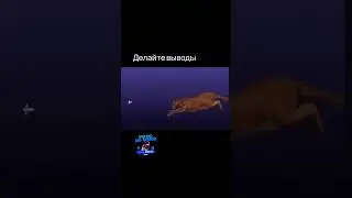 делайте выводы