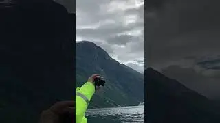 Fjord Safari 11/12