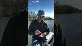 Winter lure talk. #fishing  #rapala #samaki #estuary #lures #fishingworld  #shimano #shorts