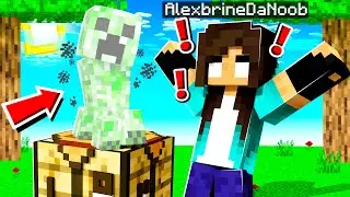 so I PRANKED noob Girl in Minecraft...