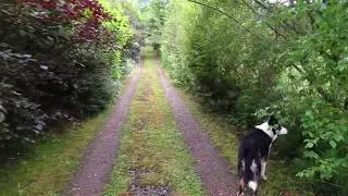 This is What 13 Years of Permaculture in Ireland Looks Like!