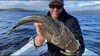 Flathead are on at Mallacoota!