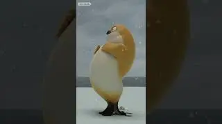 Shiba Seal (feat. Beatbox) 