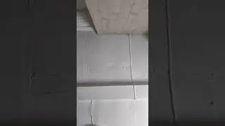 25 мая 2022 г.