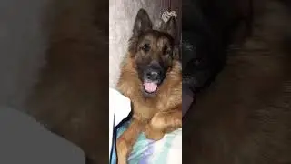 Тинёха)))