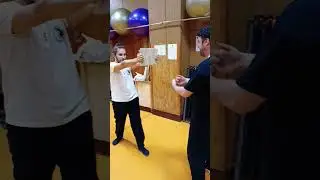 Разбиваем доски 🗿🥋🤜🪵/Wing Chun training #Wingchunvl #shorts #martialartstraining #russia #kungfu #1
