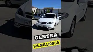 GENTRA SOTILDI
