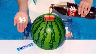 驚きの実験。スイカ🍉でできるとても楽しいことがある。