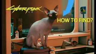 HOW TO GET CAT IN CYBERPUNK 2077? (SECRET QUEST)