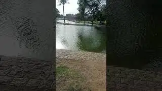 #karachi #weather #viral  #Nature