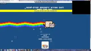 NUAN CAT