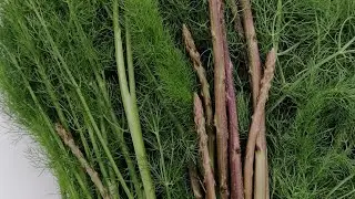 Doğal Yenilebilir OTLAR BİTKİLER ŞEVKET-İBOSTAN🌿 Köremen🌱KUŞKONMAZ 🌱ARAPSAÇI🌿SARMAŞIK