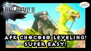 Final Fantasy 15 - Super Easy Chocobo Leveling! Semi-AFK!
