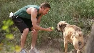 Ryan Gosling's Dog - 2016