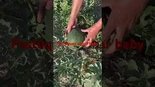 L’été tout en beauté