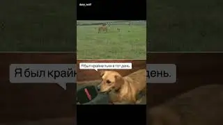 смелая собака