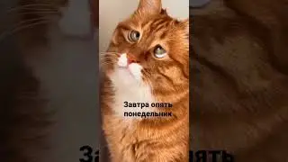 Воскресенье-это хорошо,но мало... 