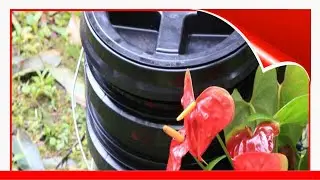 10 Compost Bin Plans 🧧