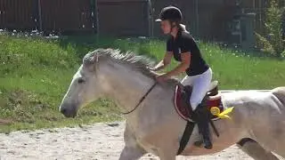 Bezudidlové hobby závody Farma Vysoká 8.5.2018