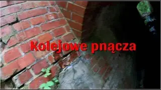 Pnącza kolejowe