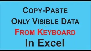 Copy Paste only Visible Data in Excel