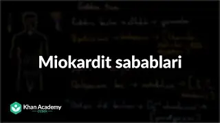 Miokardit sabablari | Miokardit va perikardit | Tibbiyot