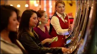 Envianos un mensaje y te enviamos un bono VIP. Planet Paradise Casino.