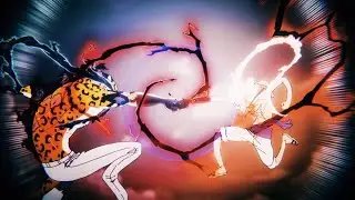 Luffy and Lucci Clash 💥 | 