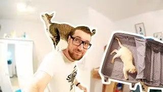 SHALIN VLOG КЛАССИКА